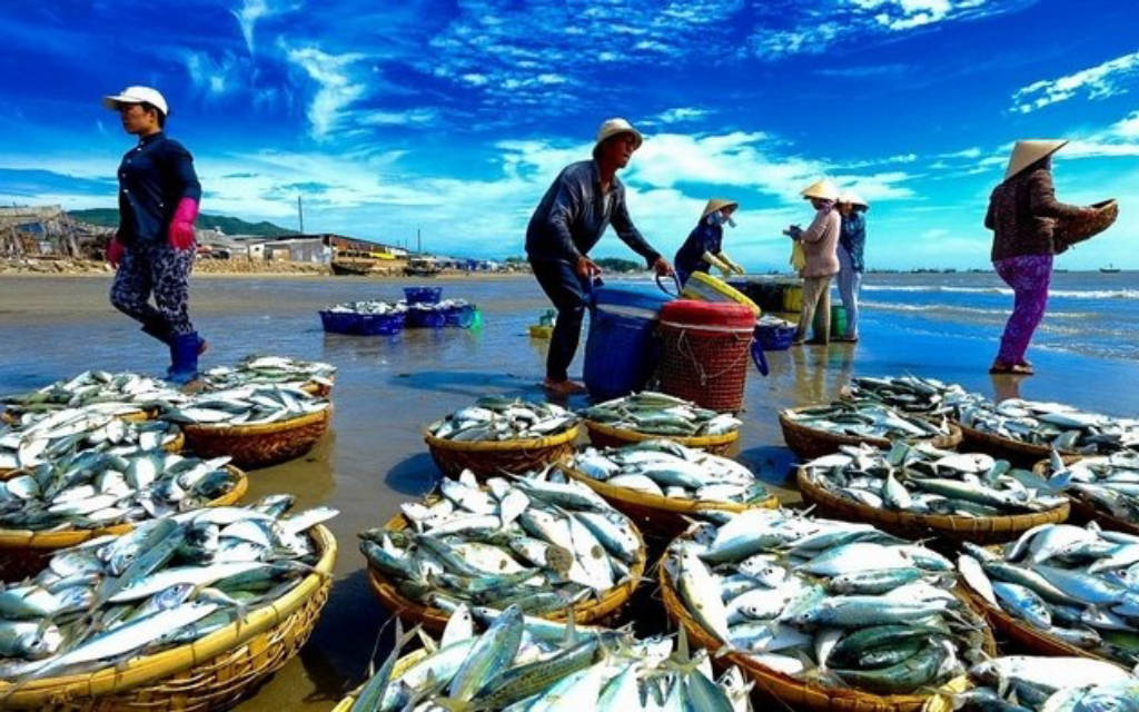 Bà Rịa - Vũng Tàu: Tuyển chọn đơn vị thực hiện đề tài KH-CN cấp tỉnh về du lịch cộng đồng